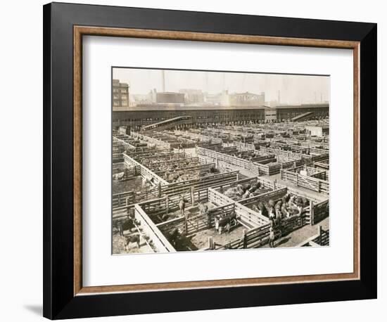 Overhead View of Chicago Stockyards-null-Framed Photographic Print