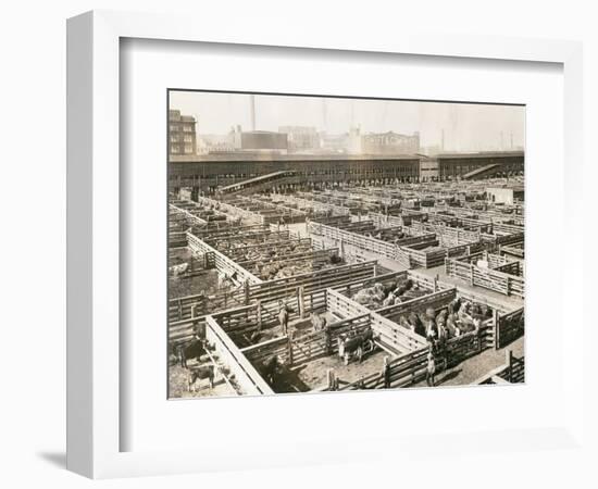 Overhead View of Chicago Stockyards-null-Framed Photographic Print