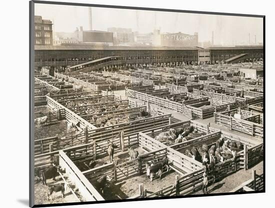 Overhead View of Chicago Stockyards-null-Mounted Photographic Print