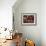 Overhead View of Fallen Rowan Leaves in Autumn Colours, Red and Gold-Kathy Collins-Framed Photographic Print displayed on a wall