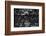 Overhead View of Men Relaxing on 36th Street, Between Eighth and Ninth Aves.-Margaret Bourke-White-Framed Photographic Print