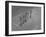 Overhead View of People with Umbrellas Waiting For the Tram, Melbourne, Australia-Emil Otto Hoppé-Framed Photographic Print