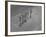 Overhead View of People with Umbrellas Waiting For the Tram, Melbourne, Australia-Emil Otto Hoppé-Framed Photographic Print