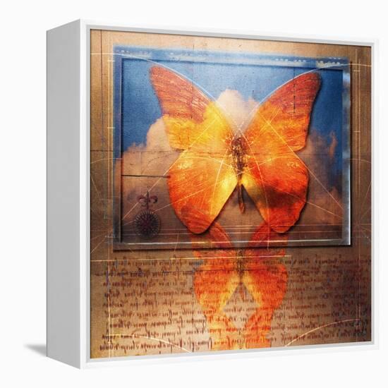 Overlaying Butterflies and Text-Colin Anderson-Framed Premier Image Canvas