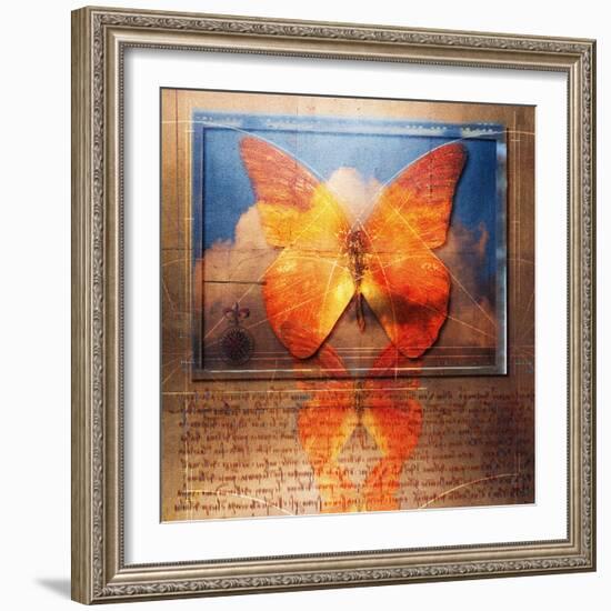 Overlaying Butterflies and Text-Colin Anderson-Framed Photographic Print