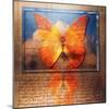 Overlaying Butterflies and Text-Colin Anderson-Mounted Photographic Print