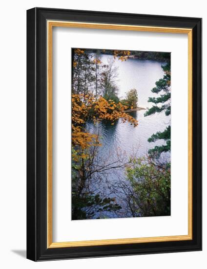 Overlook at Eagle Creek Park, Indianapolis, Indiana, USA-Anna Miller-Framed Photographic Print