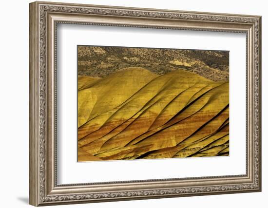 Overlook detail, Painted Hills, John Day Fossil Beds, Mitchell, Oregon, USA.-Michel Hersen-Framed Photographic Print