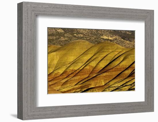 Overlook detail, Painted Hills, John Day Fossil Beds, Mitchell, Oregon, USA.-Michel Hersen-Framed Photographic Print