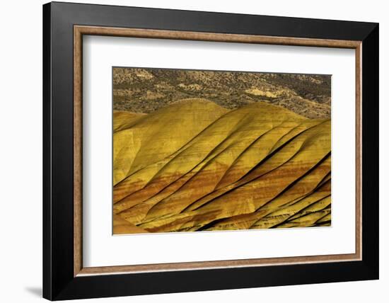 Overlook detail, Painted Hills, John Day Fossil Beds, Mitchell, Oregon, USA.-Michel Hersen-Framed Photographic Print