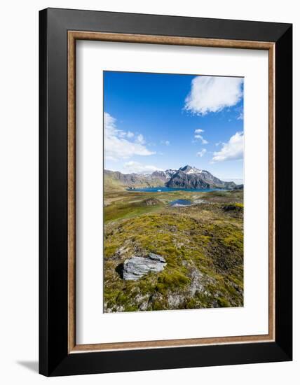 Overlook over the bay of Godthul, South Georgia, Antarctica, Polar Regions-Michael Runkel-Framed Photographic Print