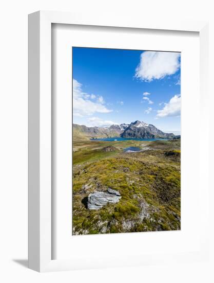 Overlook over the bay of Godthul, South Georgia, Antarctica, Polar Regions-Michael Runkel-Framed Photographic Print