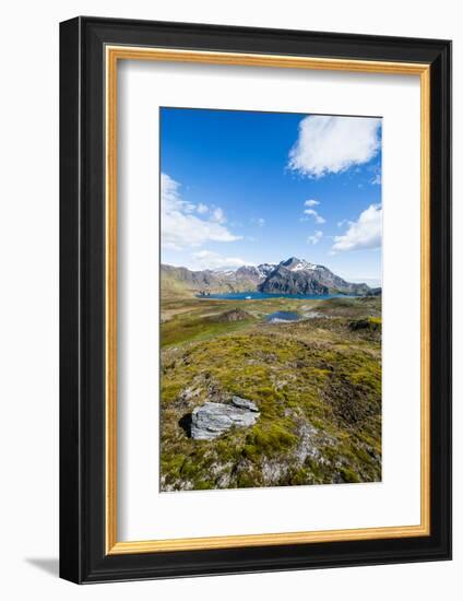 Overlook over the bay of Godthul, South Georgia, Antarctica, Polar Regions-Michael Runkel-Framed Photographic Print