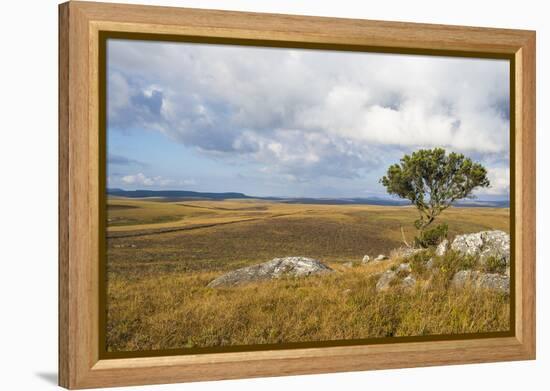 Overlook over the Highlands of the Nyika National Park, Malawi, Africa-Michael Runkel-Framed Premier Image Canvas