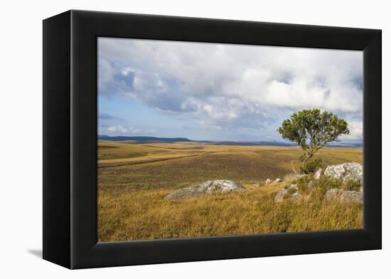 Overlook over the Highlands of the Nyika National Park, Malawi, Africa-Michael Runkel-Framed Premier Image Canvas