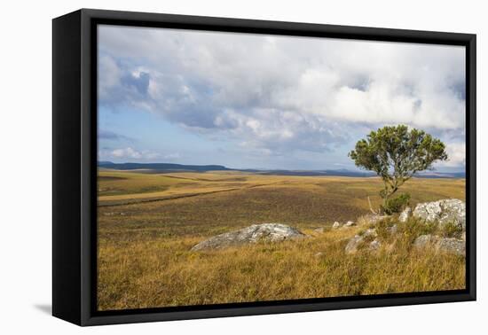 Overlook over the Highlands of the Nyika National Park, Malawi, Africa-Michael Runkel-Framed Premier Image Canvas