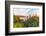 Overlooking Blooming Aloe in Laguna Beach, Ca-Andrew Shoemaker-Framed Photographic Print