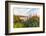 Overlooking Blooming Aloe in Laguna Beach, Ca-Andrew Shoemaker-Framed Photographic Print