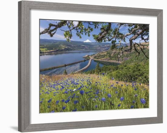 Overlooking Rowland Lake II-Don Paulson-Framed Giclee Print