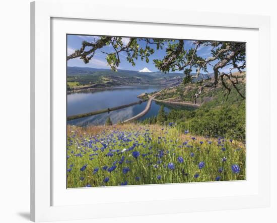 Overlooking Rowland Lake II-Don Paulson-Framed Giclee Print