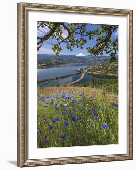 Overlooking Rowland Lake-Don Paulson-Framed Giclee Print