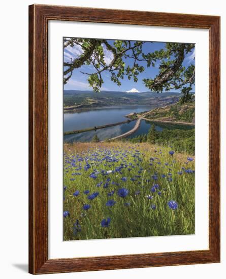 Overlooking Rowland Lake-Don Paulson-Framed Giclee Print