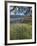 Overlooking Rowland Lake-Don Paulson-Framed Giclee Print