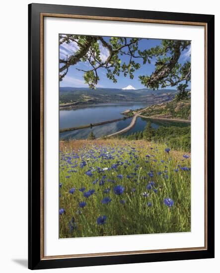 Overlooking Rowland Lake-Don Paulson-Framed Giclee Print