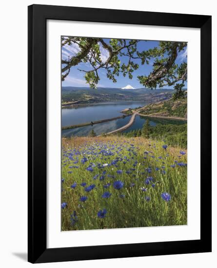 Overlooking Rowland Lake-Don Paulson-Framed Giclee Print