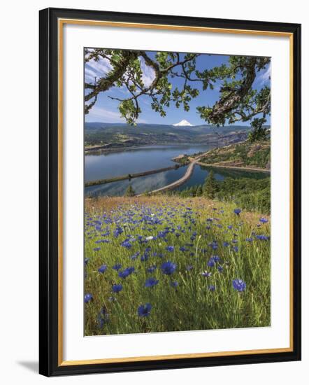 Overlooking Rowland Lake-Don Paulson-Framed Giclee Print