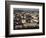 Overlooking the Capital City of Asmara, Eritrea, Africa-Mcconnell Andrew-Framed Photographic Print