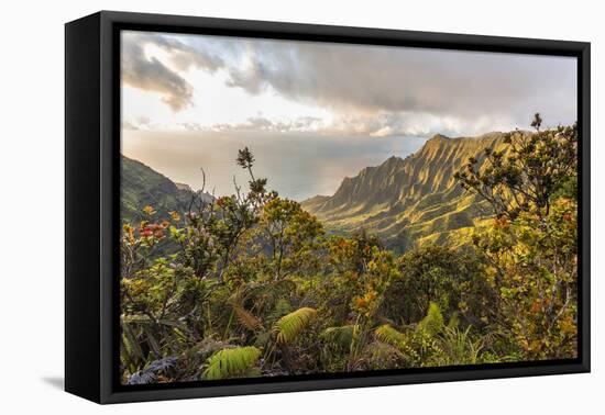 Overlooking the Kalalau Valley Right before Sunset-Andrew Shoemaker-Framed Premier Image Canvas