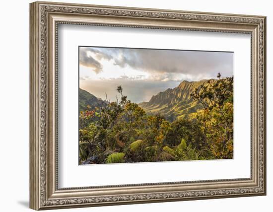 Overlooking the Kalalau Valley Right before Sunset-Andrew Shoemaker-Framed Photographic Print