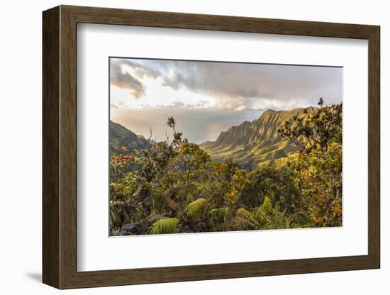 Overlooking the Kalalau Valley Right before Sunset-Andrew Shoemaker-Framed Photographic Print