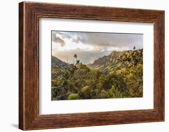 Overlooking the Kalalau Valley Right before Sunset-Andrew Shoemaker-Framed Photographic Print