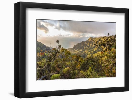 Overlooking the Kalalau Valley Right before Sunset-Andrew Shoemaker-Framed Photographic Print