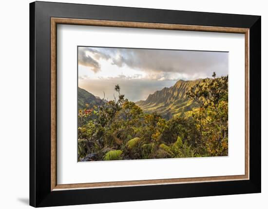 Overlooking the Kalalau Valley Right before Sunset-Andrew Shoemaker-Framed Photographic Print