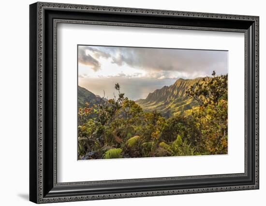 Overlooking the Kalalau Valley Right before Sunset-Andrew Shoemaker-Framed Photographic Print