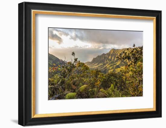 Overlooking the Kalalau Valley Right before Sunset-Andrew Shoemaker-Framed Photographic Print