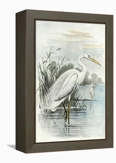 Oversize White Heron-null-Framed Stretched Canvas