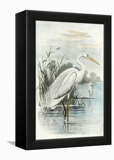 Oversize White Heron-null-Framed Stretched Canvas