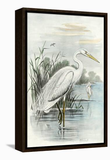 Oversize White Heron-null-Framed Stretched Canvas