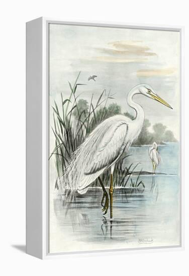 Oversize White Heron-null-Framed Stretched Canvas