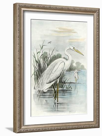 Oversize White Heron-null-Framed Premium Giclee Print