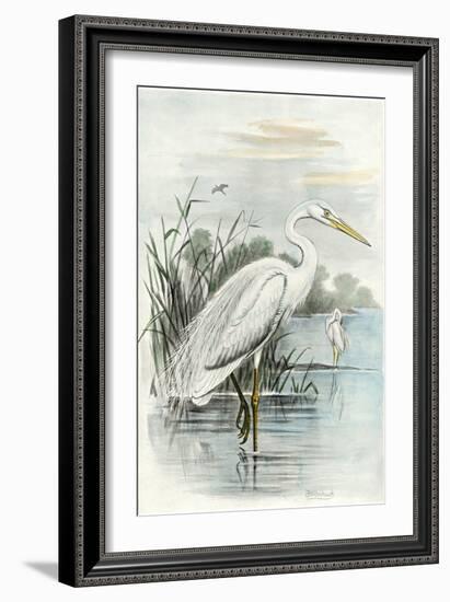 Oversize White Heron-null-Framed Premium Giclee Print