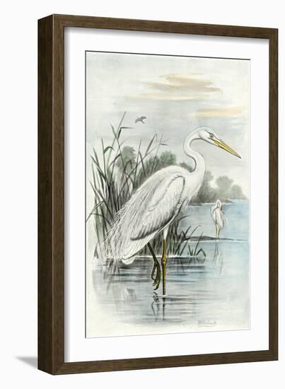 Oversize White Heron-null-Framed Art Print