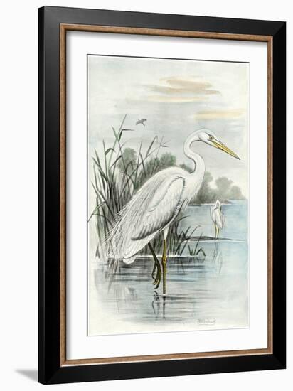 Oversize White Heron-null-Framed Art Print