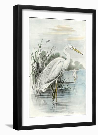 Oversize White Heron-null-Framed Art Print