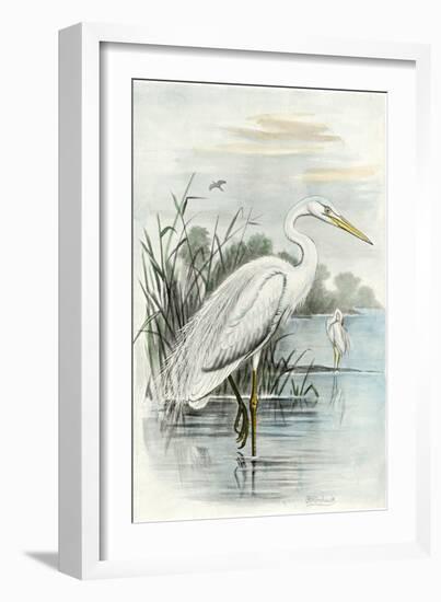 Oversize White Heron-null-Framed Art Print