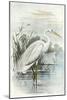 Oversize White Heron-null-Mounted Art Print